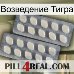 Возведение Тигра 07